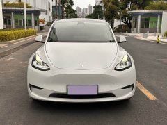 Tesla Model Y Long Range All-Wheel Drive 3D7 - ფოტო 2
