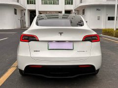 Tesla Model Y Long Range All-Wheel Drive 3D7 - ფოტო 5