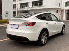 Tesla Model Y Long Range All-Wheel Drive 3D7 - ფოტო 6