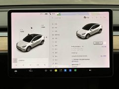 Tesla Model Y Long Range All-Wheel Drive 3D7 - ფოტო 9