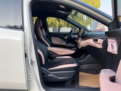 BYD Seagull Freedom Edition - ფოტო 17