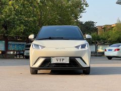 BYD Seagull Freedom Edition - ფოტო 2