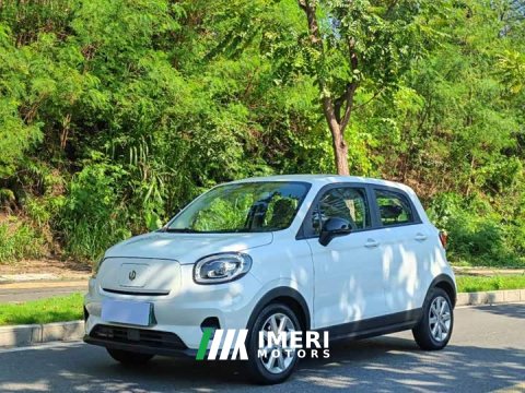 2022 Leapmotor Leapo T03 Haoyu Edition - ავტომობილი ჩინეთიდან