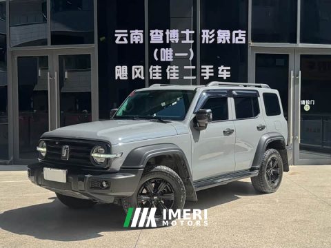 2022 Tank 300 2021 Off-Road Edition 2.0T Conqueror - ავტომობილი ჩინეთიდან