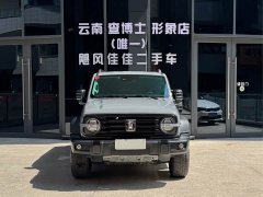 Tank 300 2021 Off-Road Edition 2.0T Conqueror - ფოტო 2