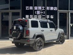 Tank 300 2021 Off-Road Edition 2.0T Conqueror - ფოტო 9