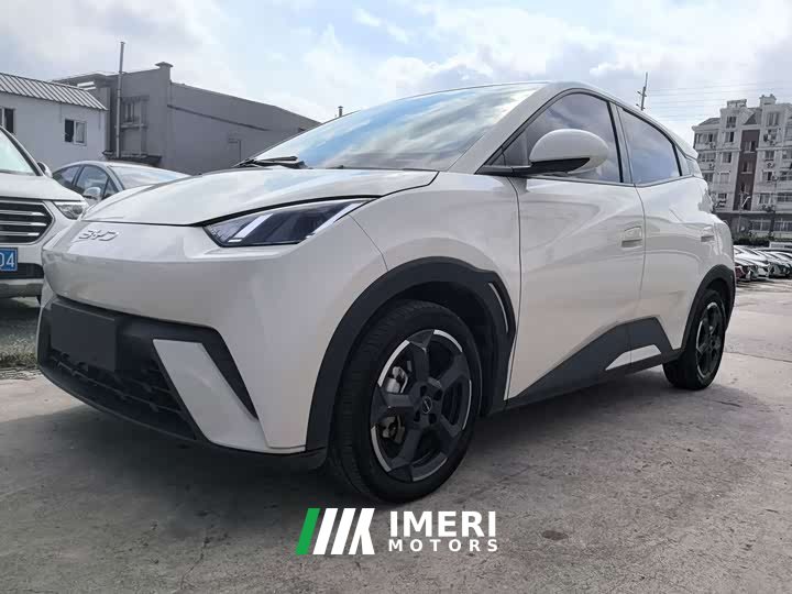 BYD Seagull 2024 Glory Edition 305km Vitality Version - ავტომობილი ჩინეთიდან