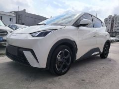 BYD Seagull 2024 Glory Edition 305km Vitality Version - ფოტო 1
