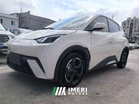 2023 BYD Seagull 2024 Glory Edition 305km Vitality Version - ავტომობილი ჩინეთიდან