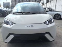 BYD Seagull 2024 Glory Edition 305km Vitality Version - ფოტო 2
