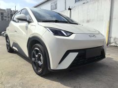 BYD Seagull 2024 Glory Edition 305km Vitality Version - ფოტო 3