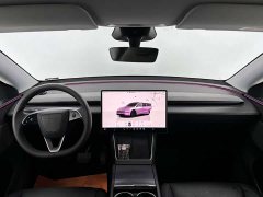 Tesla Model Y Rear-Wheel Drive - ფოტო 13