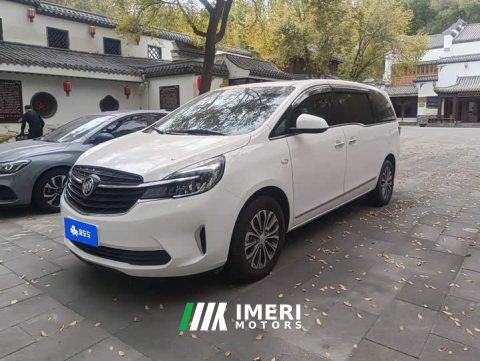 2021 Buick GL8 2022 Land Executive Cabin 652T Luxury - ავტომობილი ჩინეთიდან