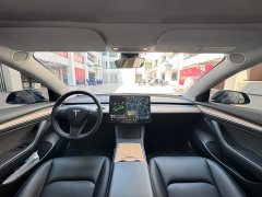 Tesla Model 3 Standard Range RWD Upgrade - ფოტო 10