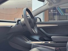 Tesla Model 3 Standard Range RWD Upgrade - ფოტო 6