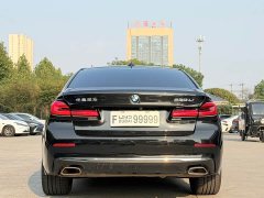 BMW 5 Series 530Li Luxury M Sport Package - ფოტო 8