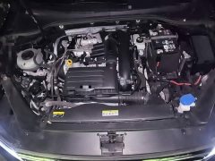 Volkswagen Magotan 2023 2 Million Units Anniversary Edition 280TSI DSG Comfort - ფოტო 16