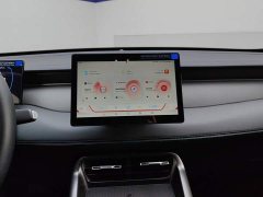 BYD Qin PLUS DM-i 128KM Entry-Level - ფოტო 13