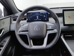 BYD Qin PLUS DM-i 128KM Entry-Level - ფოტო 15