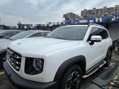 Great Wall Dachshund 2.0T DCT Two-Wheel Drive Chinese Hunting Dog Edition - ფოტო 3
