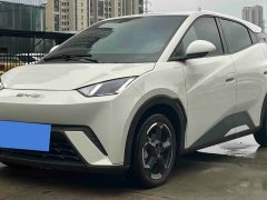 BYD Seagull Freedom Edition - ფოტო 1