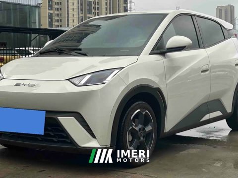 2023 BYD Seagull Freedom Edition - ავტომობილი ჩინეთიდან