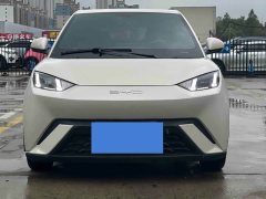 BYD Seagull Freedom Edition - ფოტო 2