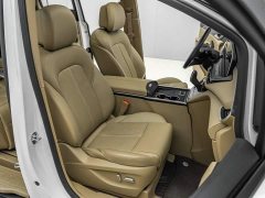 Buick GL8 ES Land Respect 653T Luxury - ფოტო 20