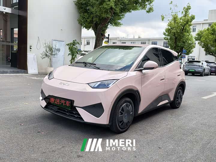 BYD Seagull Smart Drive 305km Vitality Edition - ავტომობილი ჩინეთიდან