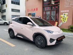 BYD Seagull Smart Drive 305km Vitality Edition - ფოტო 3