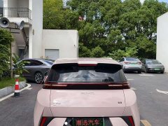 BYD Seagull Smart Drive 305km Vitality Edition - ფოტო 8