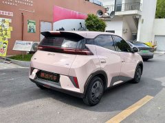 BYD Seagull Smart Drive 305km Vitality Edition - ფოტო 9