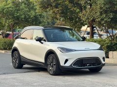 smart #1 2022 Premium - ფოტო 20