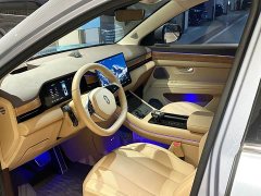 AITO M7 1.5T Intelligent Driving AWD Max 5-Seater - ფოტო 9