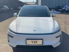 Tesla Model Y Rear-Wheel Drive - ფოტო 2