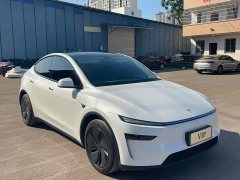 Tesla Model Y Rear-Wheel Drive - ფოტო 3