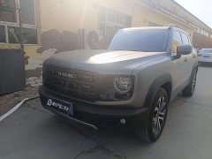 Great Wall Dachshund 1.5T DCT Border Collie Edition - ფოტო 1