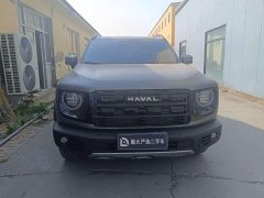 Great Wall Dachshund 1.5T DCT Border Collie Edition - ფოტო 2
