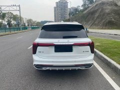 FAW Hongqi E-HS9 2021 Qixiang Edition 6-Seater 460km - ფოტო 11