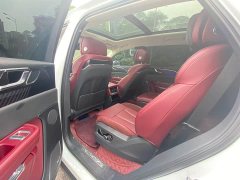 FAW Hongqi E-HS9 2021 Qixiang Edition 6-Seater 460km - ფოტო 7