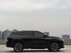 Chery Fengyun T10 210 Luxury Edition - ფოტო 3