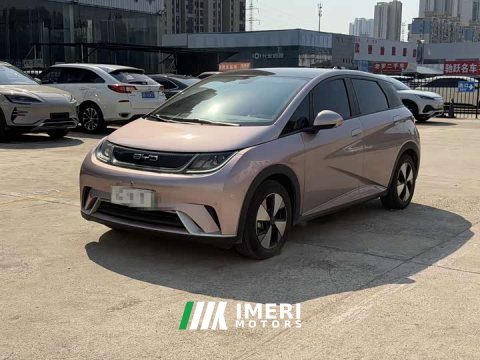 2023 BYD Dolphin 420km Fashion Edition - ავტომობილი ჩინეთიდან