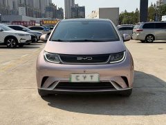 BYD Dolphin 420km Fashion Edition - ფოტო 2