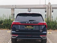 Great Wall WEY Blue Mountain Four-Wheel Drive Ultra - ფოტო 4