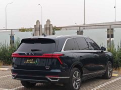 Great Wall WEY Blue Mountain Four-Wheel Drive Ultra - ფოტო 5