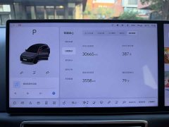 Li Auto L6 Pro Smart Refresh Edition - ფოტო 8