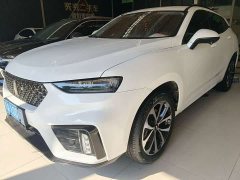 Great Wall Wei Brand VV7 2020 2.0T Ultra Luxury - ფოტო 3