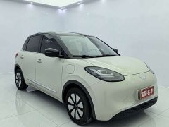 Wuling Binguo 2024 333km Joy Edition - ფოტო 3