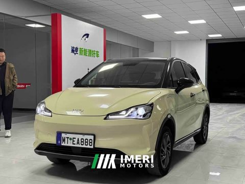 2022 Neta V Trend 300 Lite Ternary Lithium - ავტომობილი ჩინეთიდან