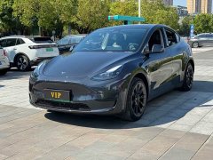 Tesla Model Y Rear-Wheel Drive - ფოტო 1